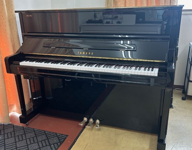YU11SD