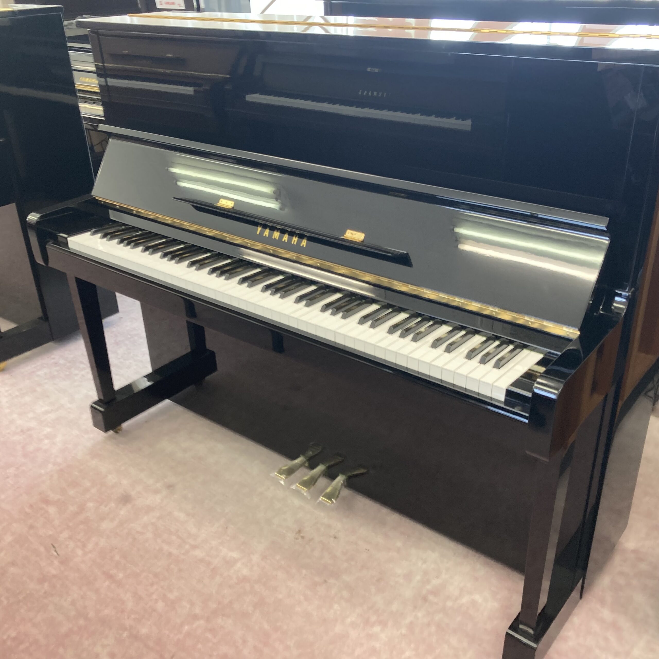 MC301