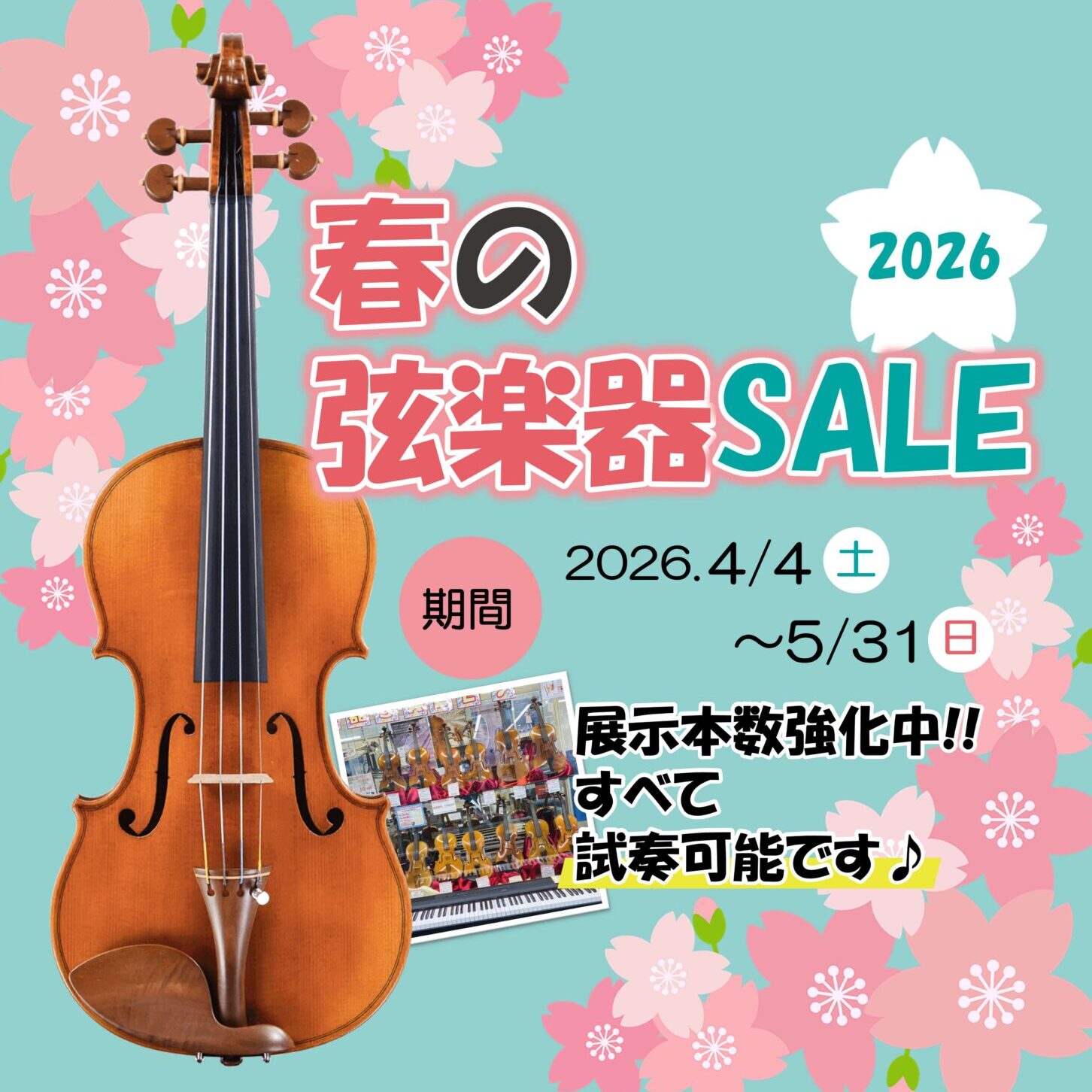 春の弦楽器セールバナーSP (1)